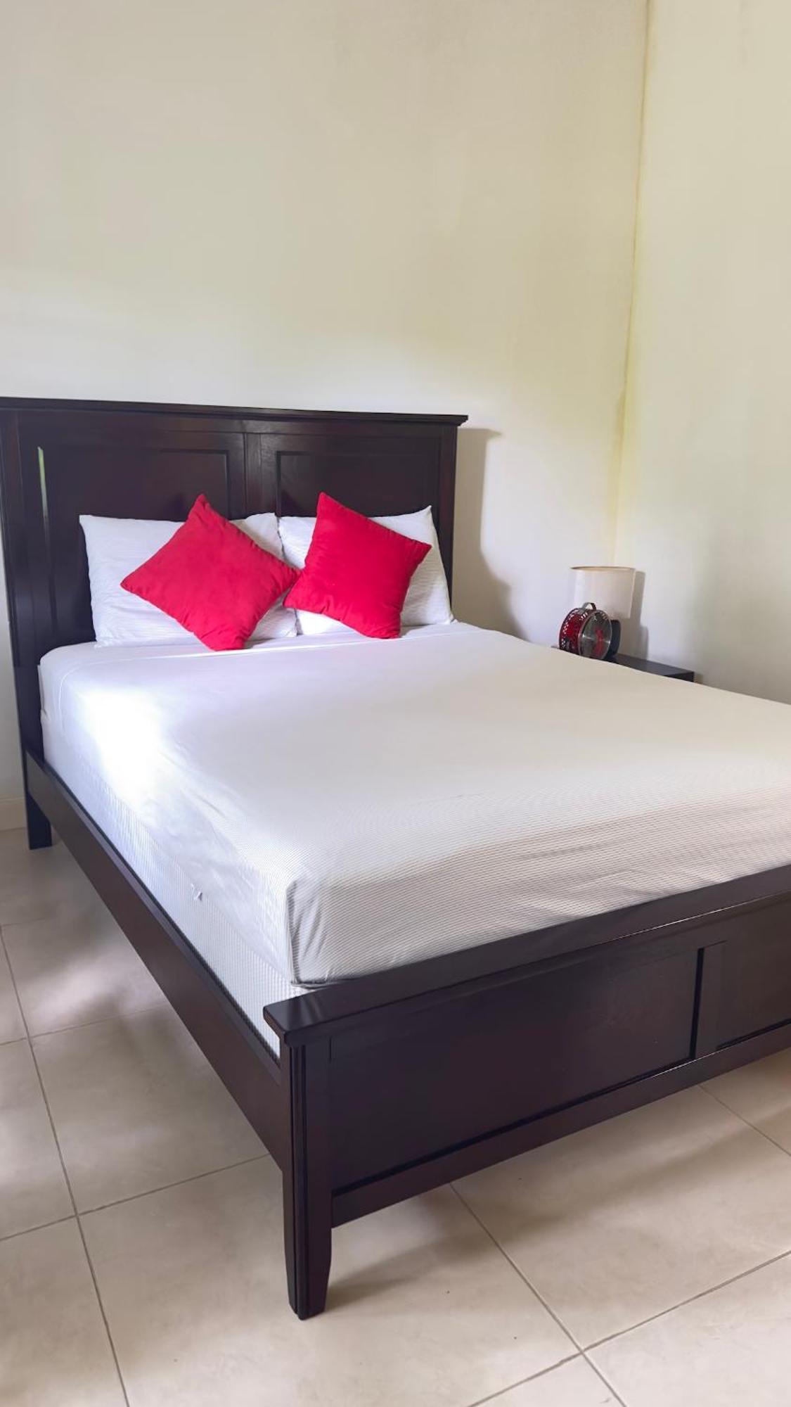 Jamnick Vacation Rentals - Richmond, St Ann, Jamaica Ocho Rios Cameră foto